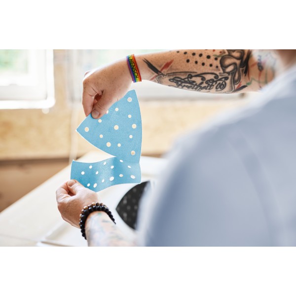 Festool Levigatrice Delta a batteria DTSC 200-Basic - 577713